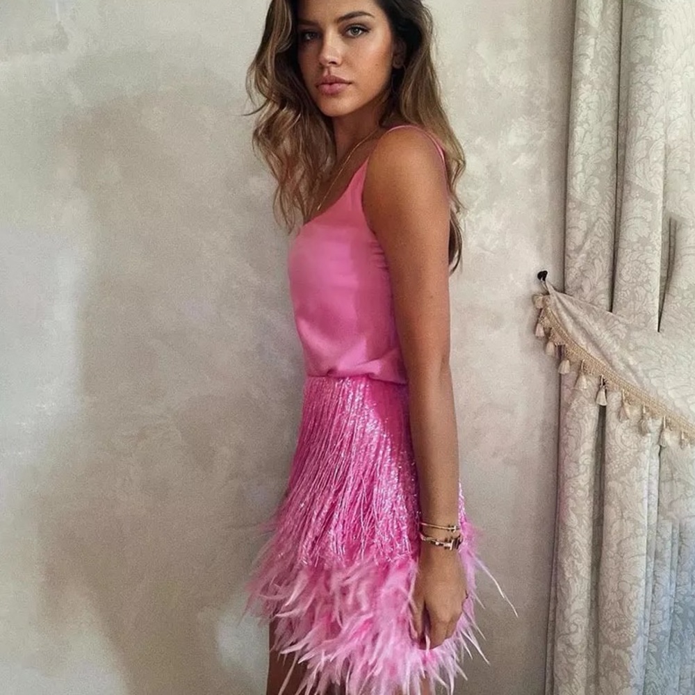 Ballerina Pink Sexy Fringe Feather Skirt Set With Tassles, 2 Piece Set - Picture 4 of 10
